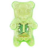 JASON FREENY GUMMI BEAR ANATOMY CLEAR GREEN JASON FREENY GUMMI BEAR ANATOMY CLEAR GREEN
