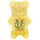 JASON FREENY GUMMI BEAR ANATOMY CLEAR YELLOW JASON FREENY GUMMI BEAR ANATOMY CLEAR YELLOW