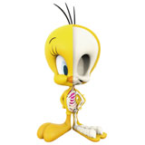 JASON FREENY X LOONEY TUNES XXRAY TWEETY BIRD JASON FREENY X LOONEY TUNES XXRAY TWEETY BIRD