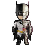 JASON FREENY X DC UNIVERSE 4D XXRAY BATMAN JASON FREENY X DC UNIVERSE 4D XXRAY BATMAN