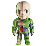 JASON FREENY X DC UNIVERSE XXRAY LEX LUTHOR JASON FREENY X DC UNIVERSE XXRAY LEX LUTHOR